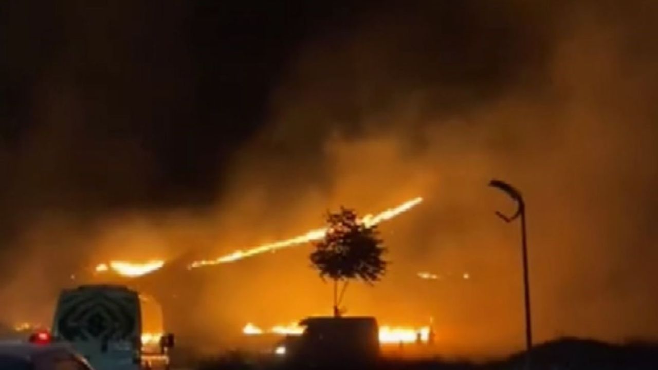 Aksaray’da piknik alanı alev alev yandı