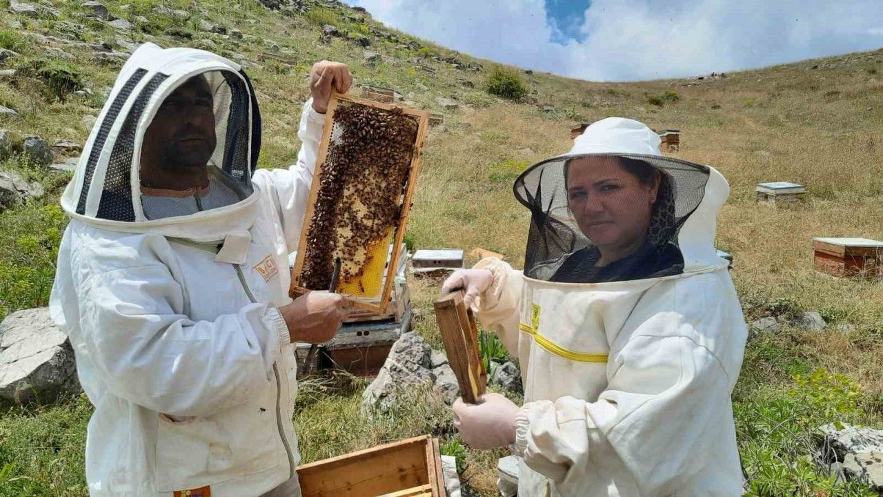 Konya'da 2 bin 500 rakımlı yaylalarda aile boyu arı mesaisi