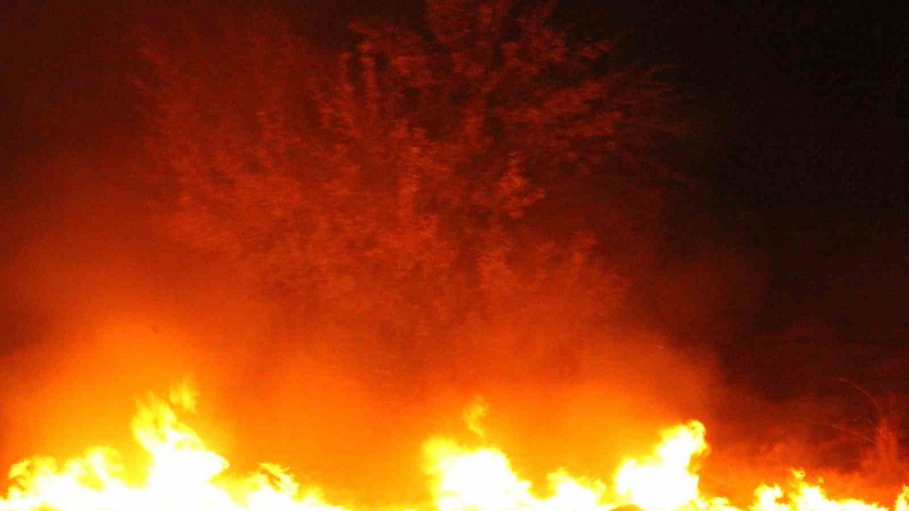 Konya'da anız yangını paniğe neden oldu