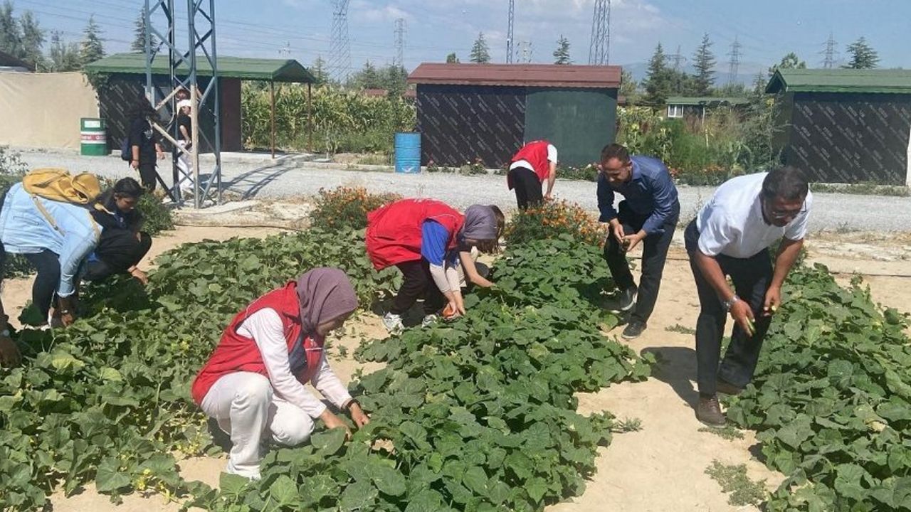 Gönüllü öğrencilerin yetiştirdiği sebze ve meyveler ihtiyaç sahiplerine ulaştırıldı