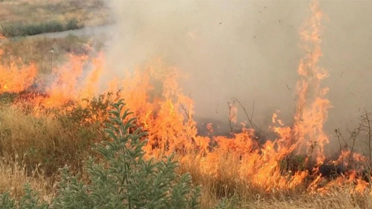 Konya'da çıkan ot yangını alevler çevreye yayılmadan söndürüldü