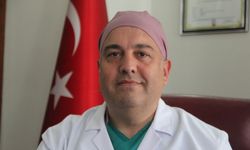 Havalar ısındı keneye dikkat