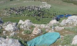 Karaman’da bir kadın eşi ve kendisini darp eden kayınbiraderini bıçaklayarak öldürdü