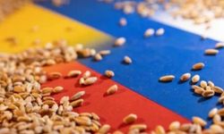 Kremlin duyurdu: Tahıl anlaşması askıya alındı!