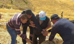 Konya'da koyun kurtarma operasyonu