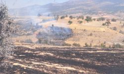 Konya'da anız yangını ormanlık alana sıçradı