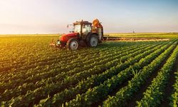 Tarımsal maliyetler bir yılda yüzde 41 arttı