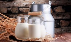 Süt fiyatlarına yeni düzenleme: Üreticilere zam kararı