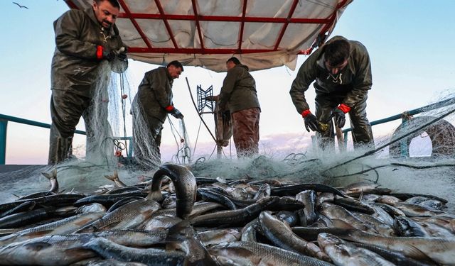 Türkiye balıkçılık sektöründe yükselişte: 2023'te 1 milyon tonla rekor kırıldı, 2024 hedef 575 bin ton