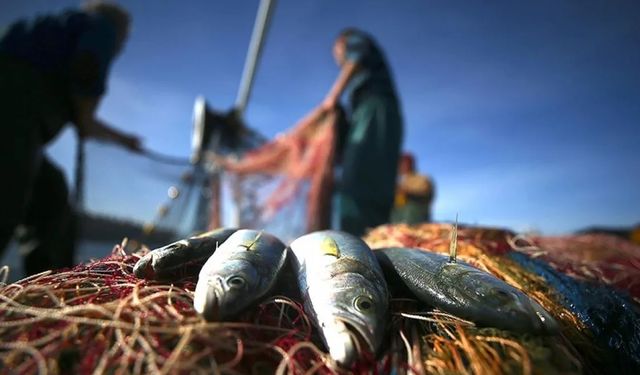 Bakan Yumaklı: Balıkçılık av sezonu yarın kapanıyor